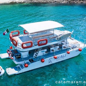 Tour en catamarán desde Puerto Vallarta
